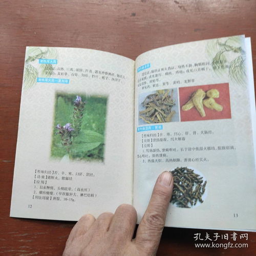 《中醫養生保健服務指南 婦女、高血壓及中醫基礎三冊精要》