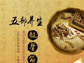 融合中醫(yī)養(yǎng)生文化，打造專業(yè)展板設(shè)計——高清PSD模板助力企業(yè)健康服務(wù)推廣